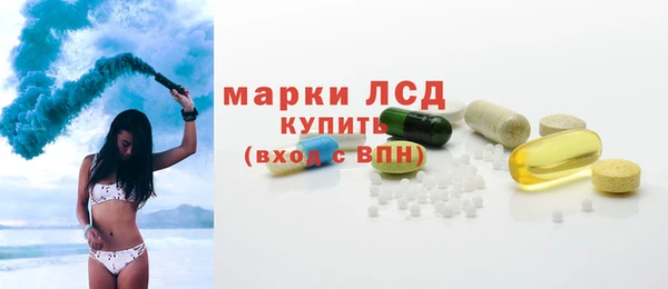гашик Михайлов