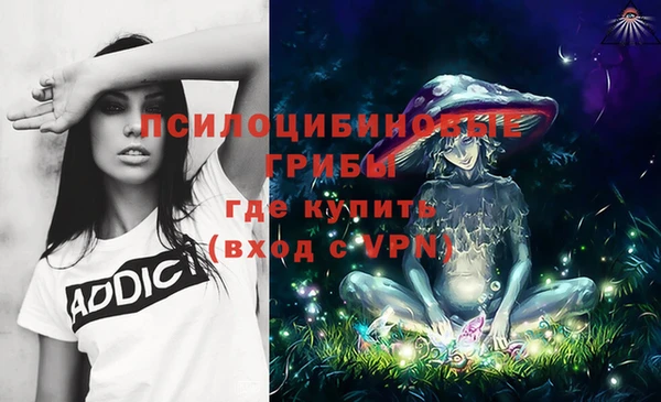 молекула духа Навашино