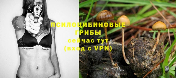 a pvp Надым