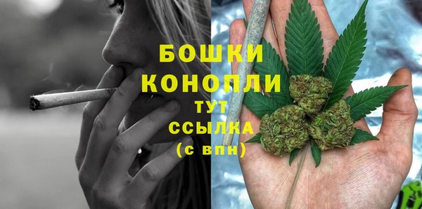 индика Дмитров