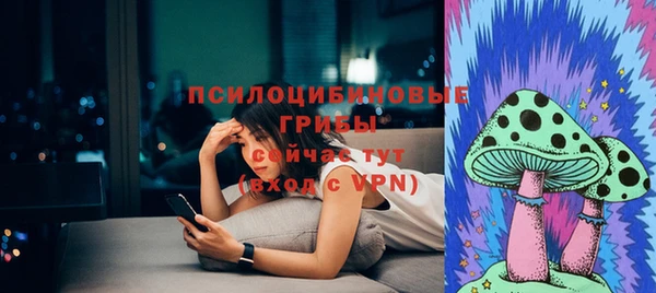 молекула духа Навашино
