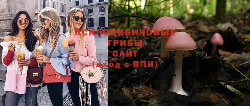 Галлюциногенные грибы Magic Shrooms  Калач 